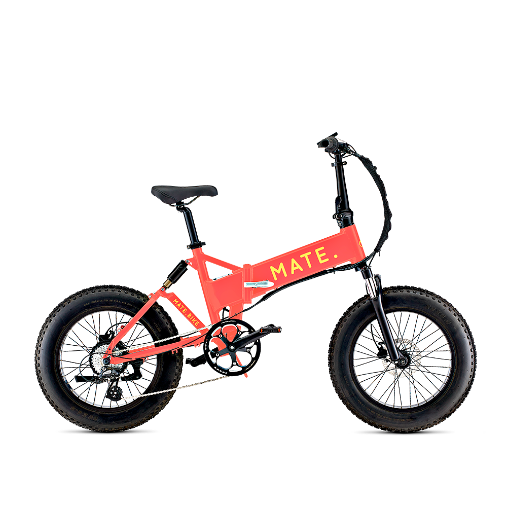 Mate x bike motor hotsell
