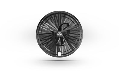 Lightweight Rundkurs Disc- Tubular Rear Wheel - Cigala Cycling Retail