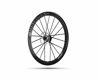Lightweight Meilenstein EVO - Disc - Tubeless - 24mm - Rear Wheel - Cigala Cycling Retail
